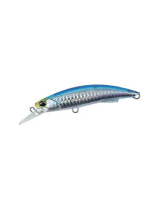 Hard Lure DUO ROUGH TRAIL BLAZIN 110 2