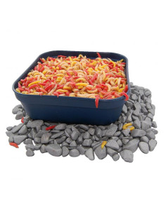 Mixed Color Maggots per Kilogram 2