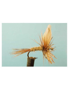 Dry English flies Dragon 14 - 3pcs