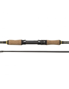 Spinning Rod Penn REGIMENT II SW SPIN 2