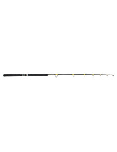 Boat Rod Filstar TARGET STAND-UP