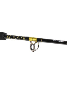 Boat Rod Filstar TARGET STAND-UP 2