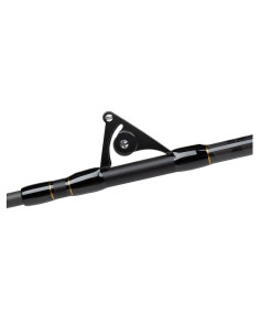 Boat Rod Penn REGIMENT III ROLLER BOAT 2