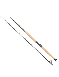 Boat Rod Penn REGIMENT III PRO BOAT